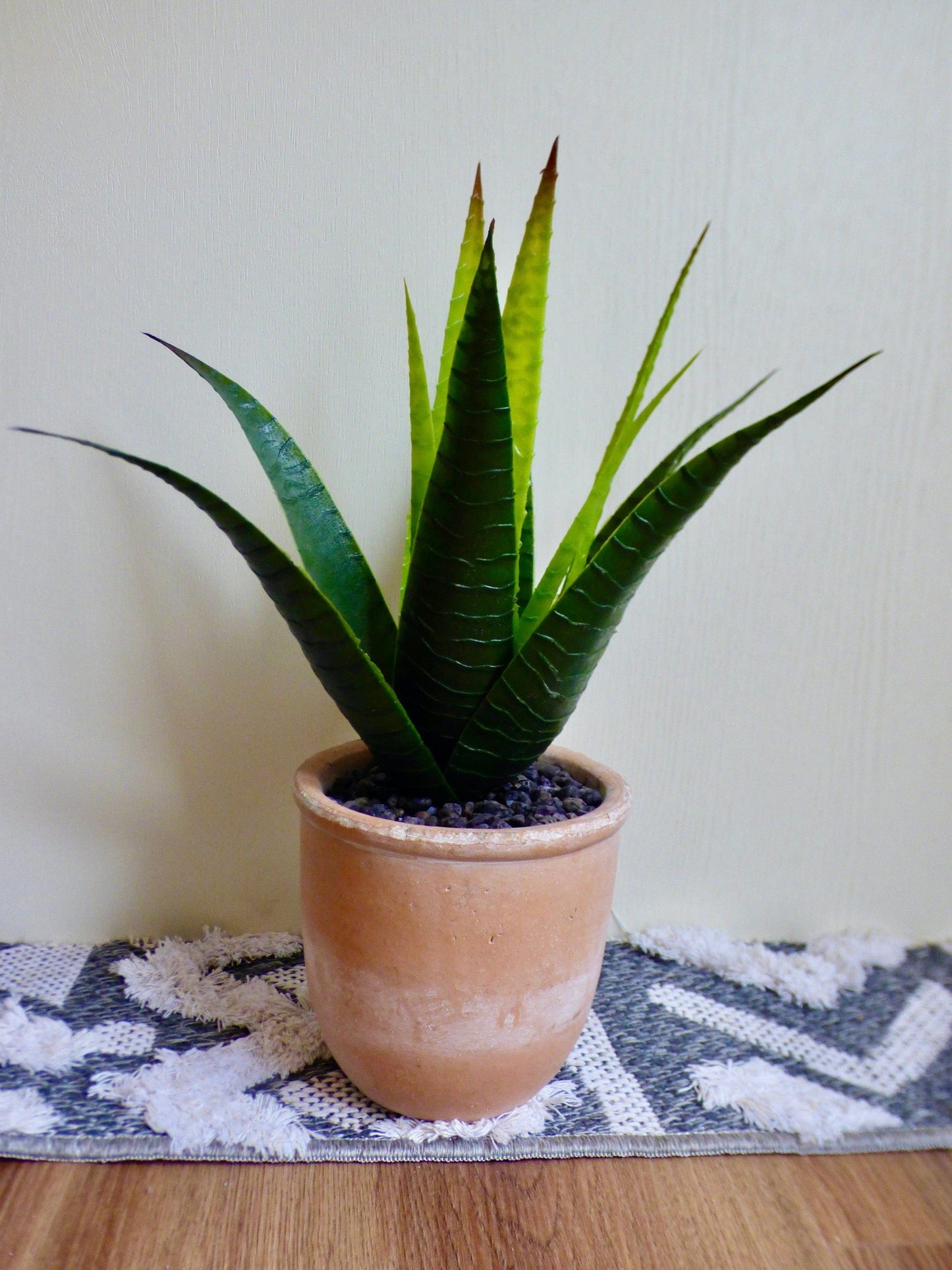 Flowers & Plants Aloe in Terracotta Pot 16051