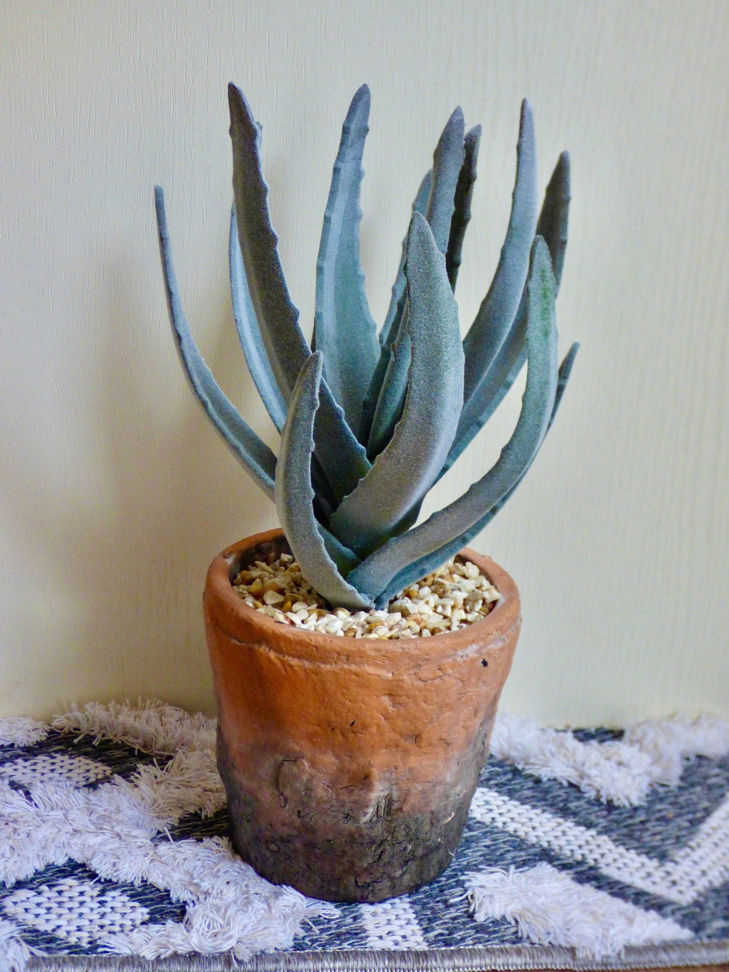 Flowers & Plants Mountain Aloe 15102