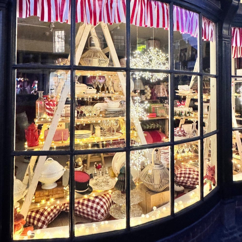 Store window display with various items including a Christmas tree, lights, and decorative objects.