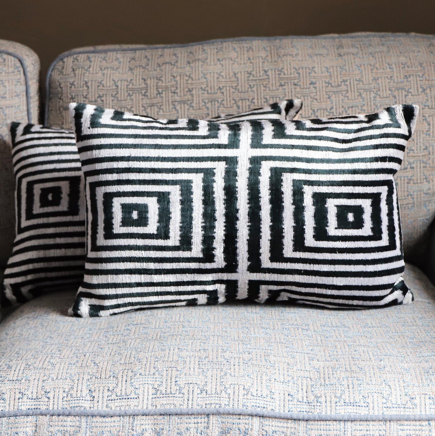 Cushions Silk Velvet Cushion - Zebra Geometric 20088