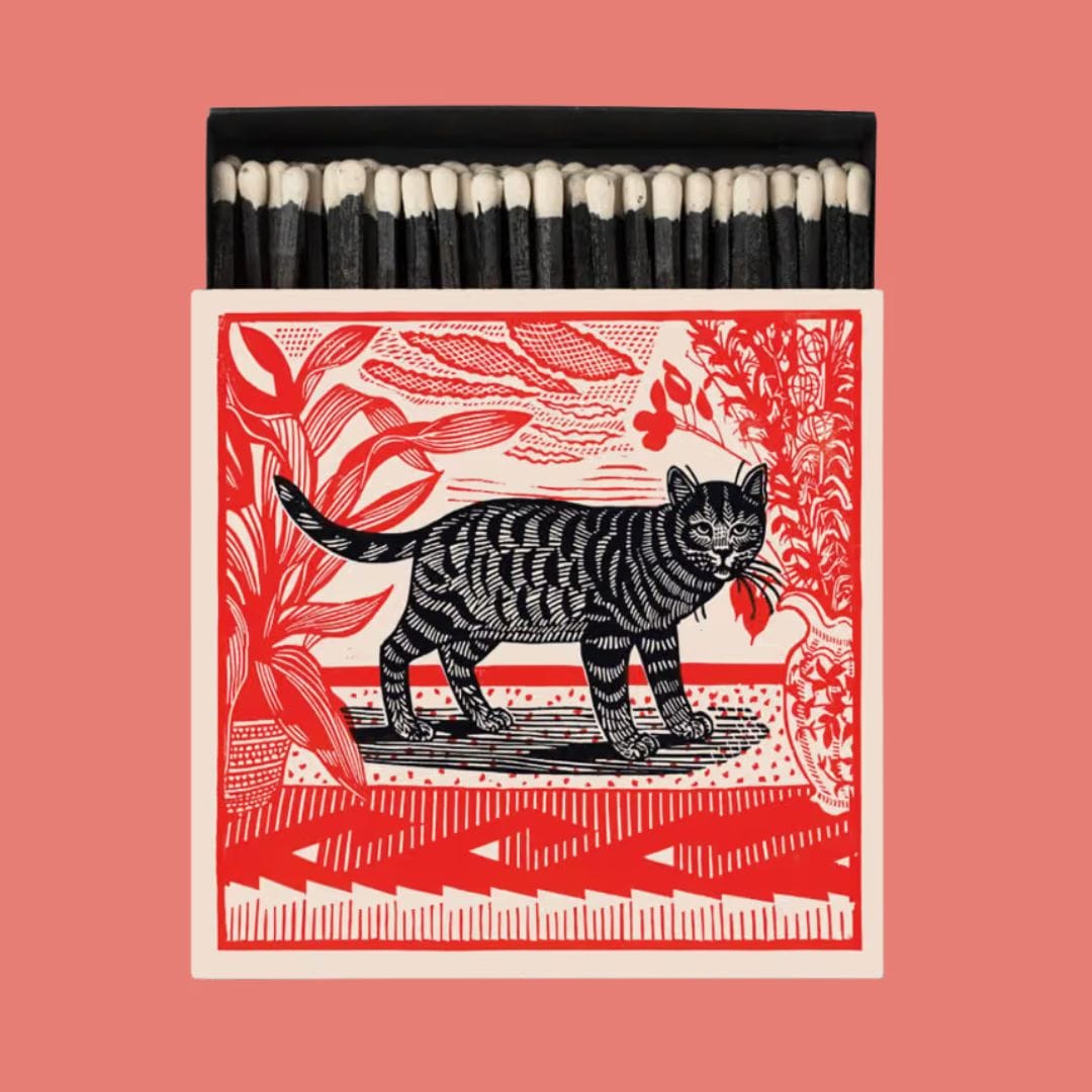 Matches in Pots Square Matchbox - Sasha The Cat 29013